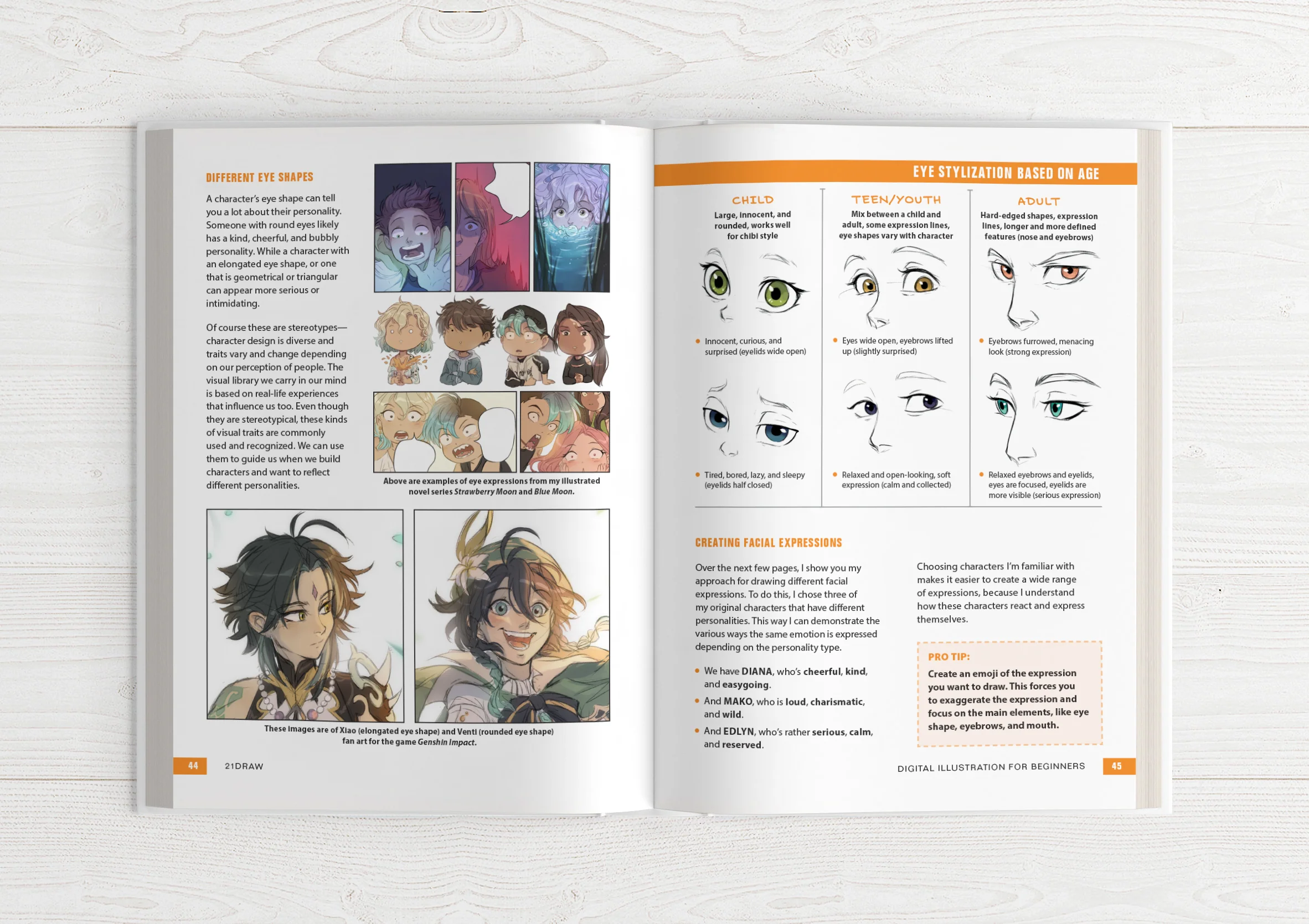 Illustrator's Guidebook 1,2,3 (HARDCOVER + EBOOKS) - Image 9